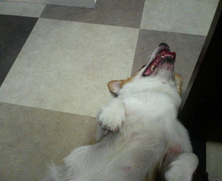 201008190936000.jpg