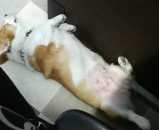 201008211323000.jpg