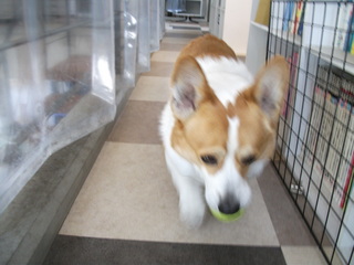 DSCF0125.jpg