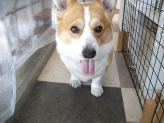 DSCF0121.jpg