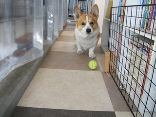 DSCF0122.jpg